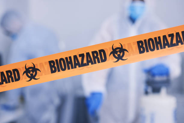 Professional Odor Removal technician working in Rockford, MN